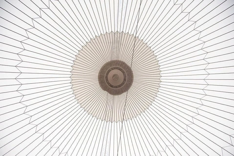 ARENA 18