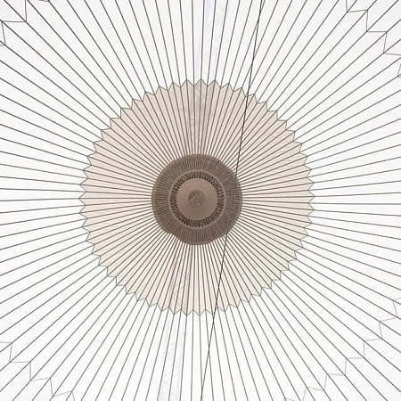 ARENA 18